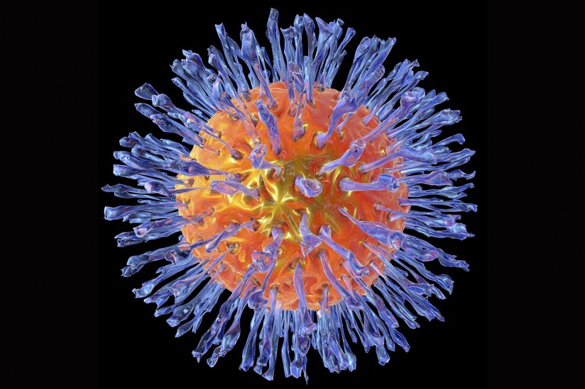 Herpes-virus-tegning