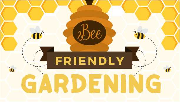 Suttons Seeds examines the importance of bee-friendly gardening