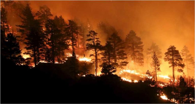 California East Los Angles Set On Wild Fire