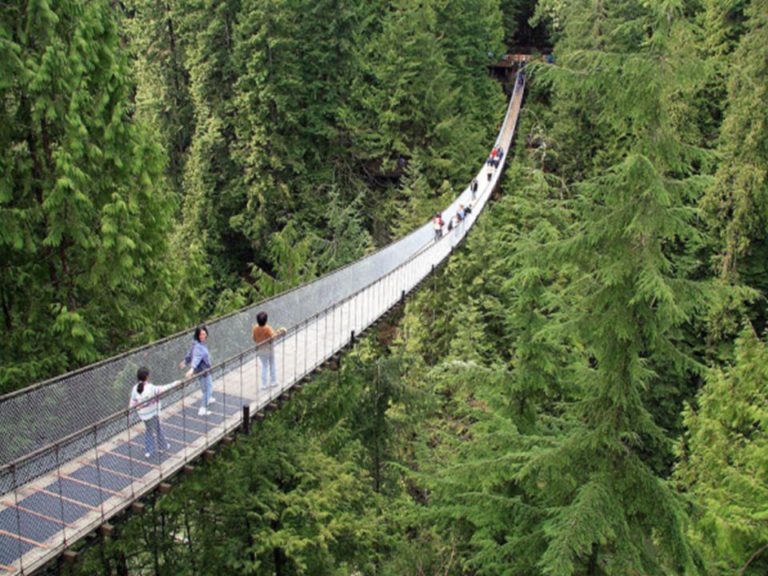 Five Of The Best Family Day Trips In Vancouver