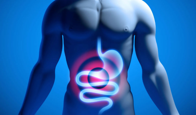 What You Need to Know About Maintaining a Healthy Digestive System