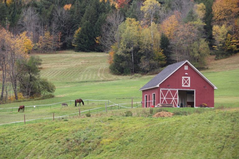 How Profitable Is Farming?